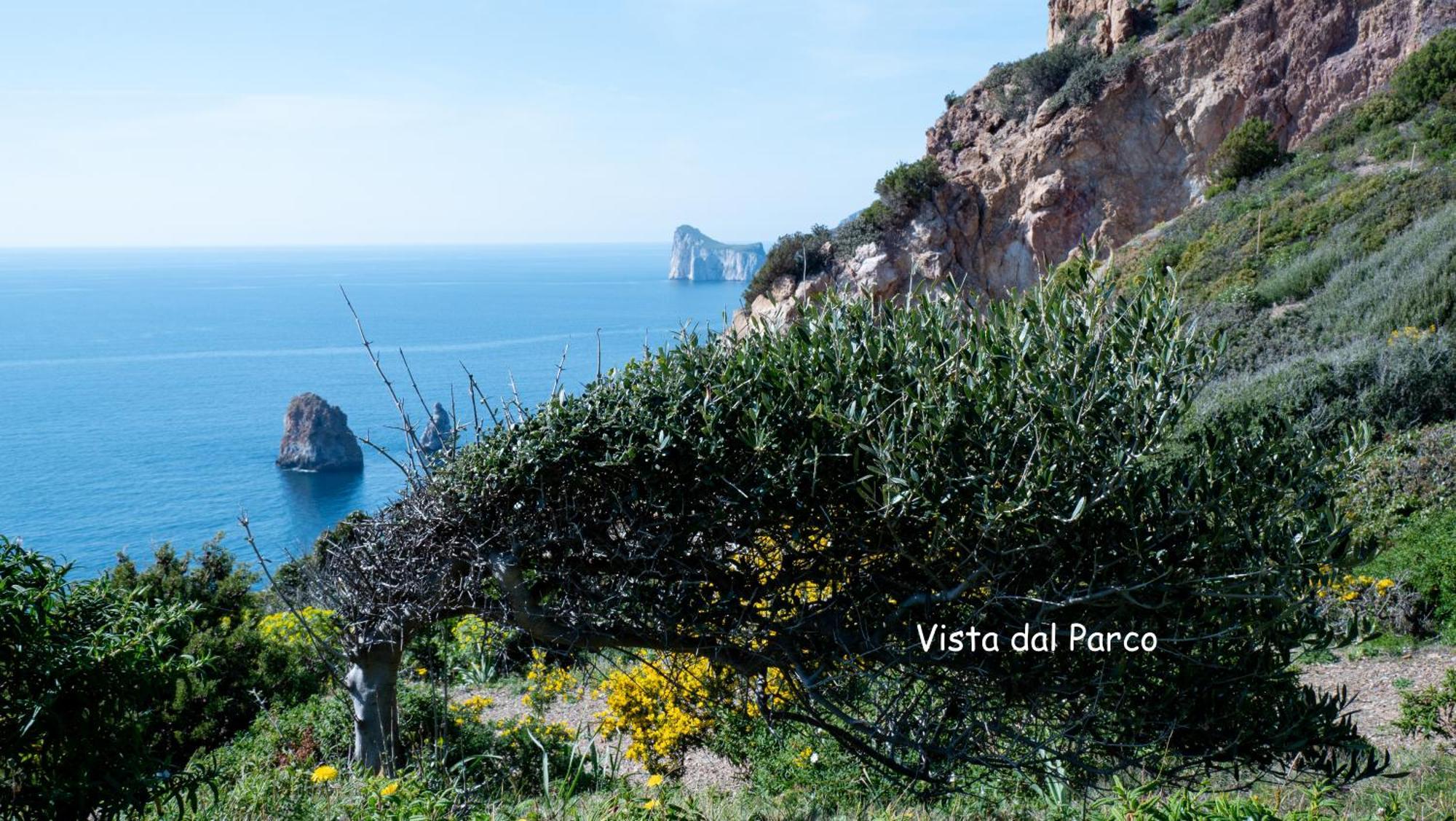 Il Sogno Tanca Piras Βίλα Nebida Εξωτερικό φωτογραφία